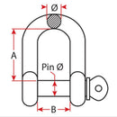 Galvanised Shackle D - Grade S