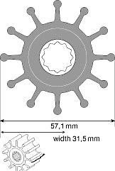 Johnson 09-1027B Impeller F5B Pump-Johnson Pumps-Cassell Marine