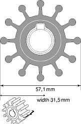 Johnson 09-801B Impeller F5 Pump-Johnson Pumps-Cassell Marine