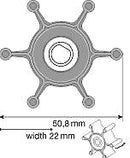 Johnson 09-824P Impeller F4 Pump-Johnson Pumps-Cassell Marine