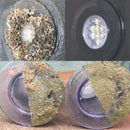 Oceanmax Lightspeed Box Kit 15ml