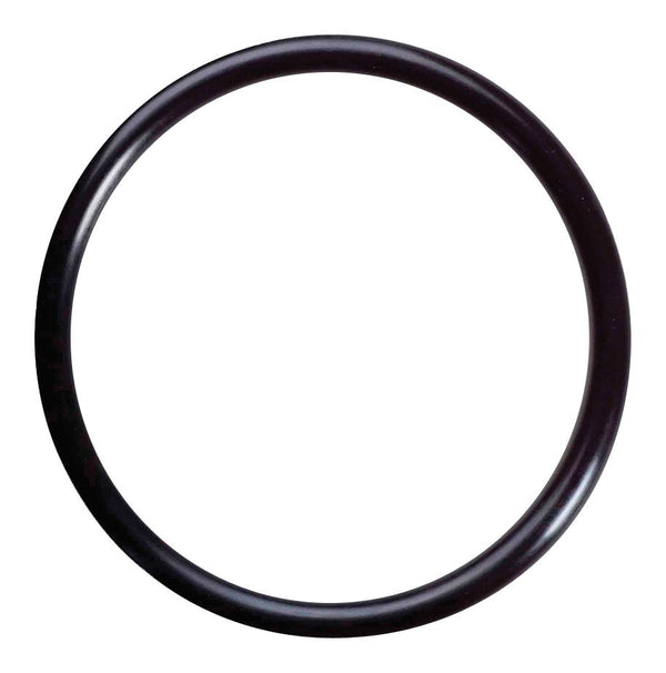 Rudder Gland Spare O Ring