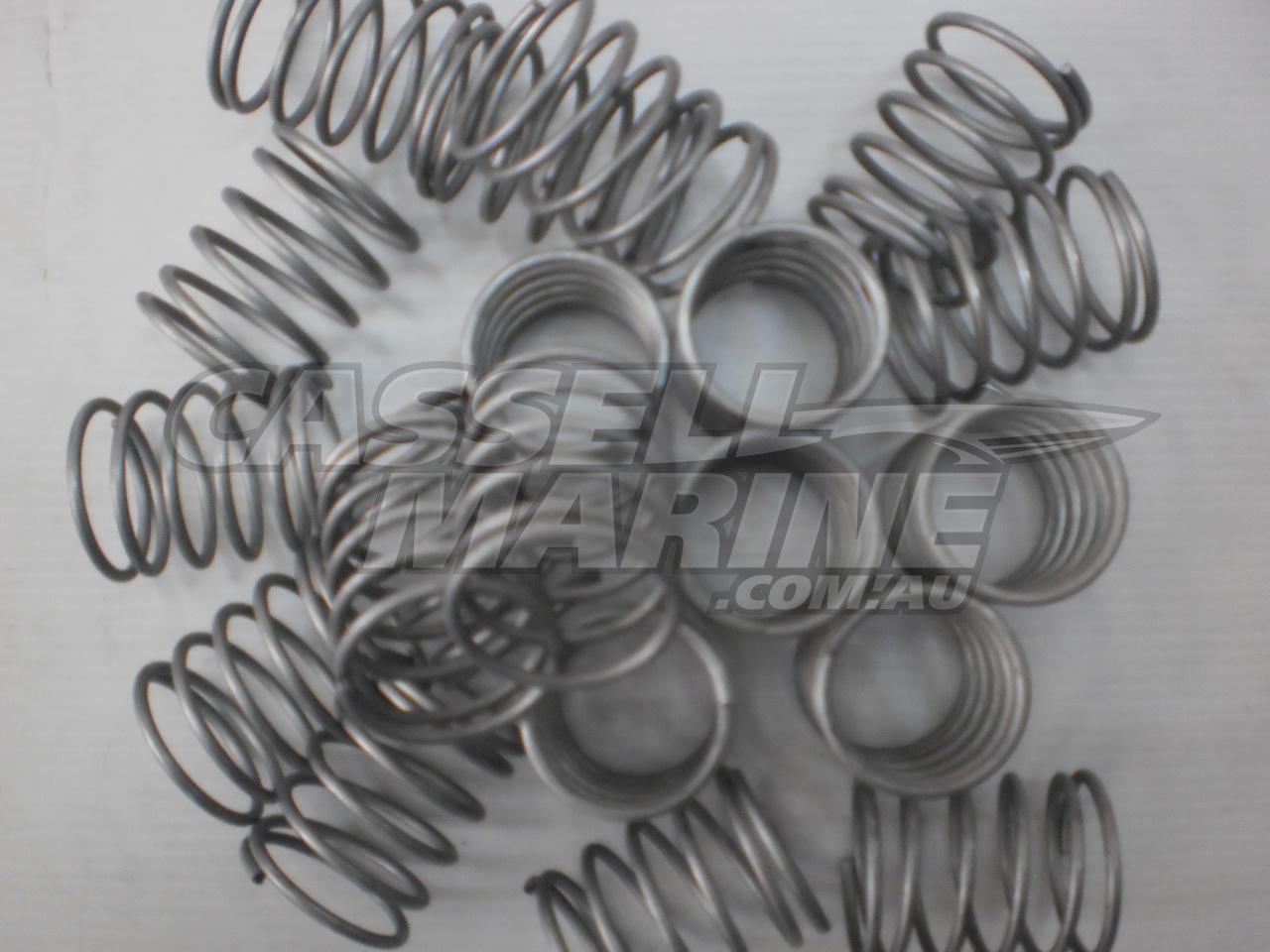 Stainless Steel Spring Replacement Wobble Roller Springs for Boat Trai